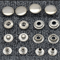 Ring Spring Snap